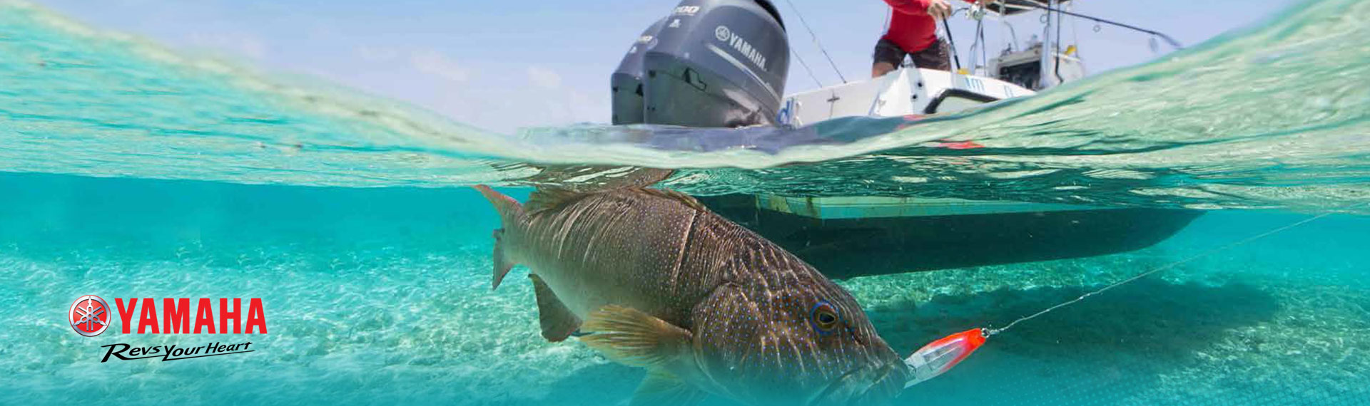 Big Fish with Yamaha